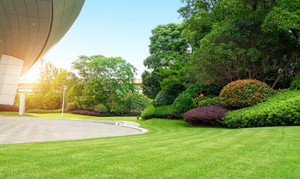 Commercial Shrub Trimming in Pleasant Grove
