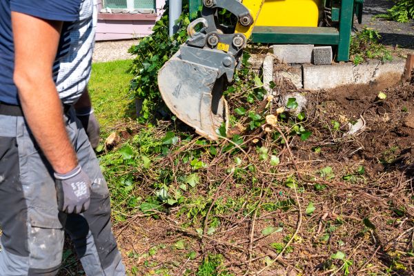Hedge Removal Service in Pleasant Grove