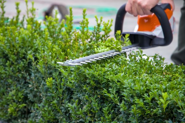 Hedge Shearing in Pleasant Grove