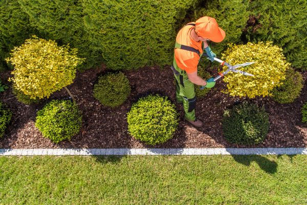 Cost of Topiary Trimming in Pleasant Grove