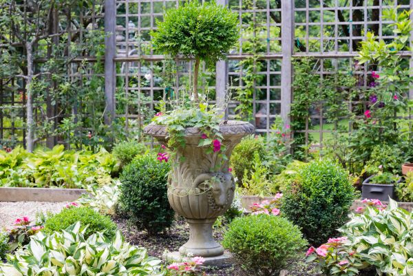 Cost of Topiary Pruning in Pleasant Grove