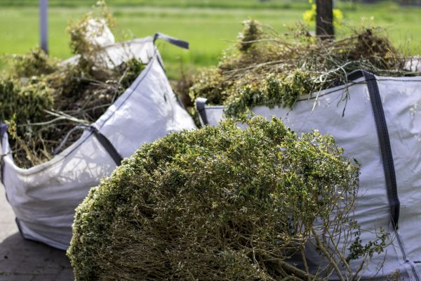 Shrubs Removal in Pleasant Grove