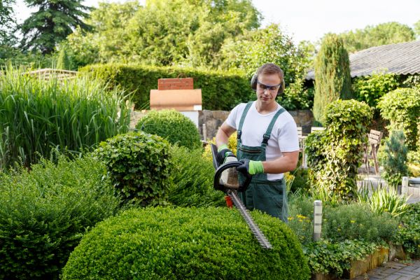 Shrubs Trimming in Pleasant Grove