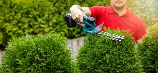 Cost of Hedge Shaping Service in Pleasant Grove