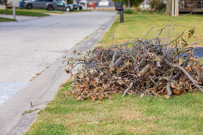 Dead Shrub Removal