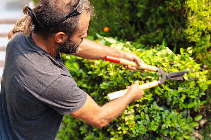Hedge Pruning